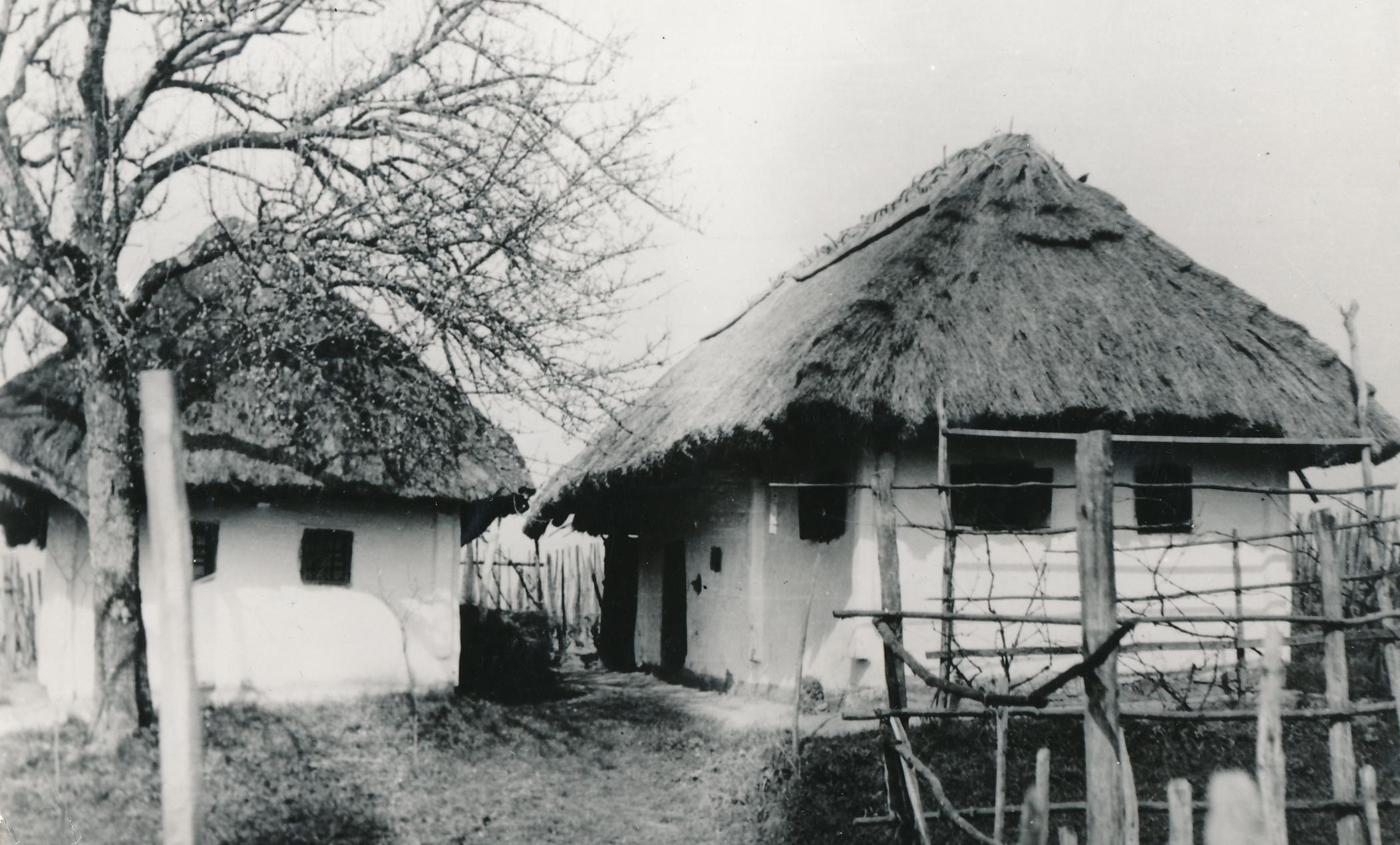 eika image